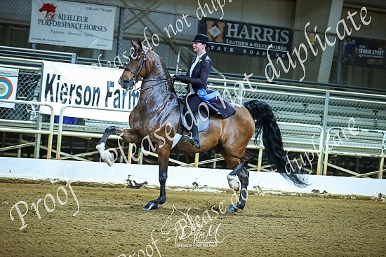 24 Jersey Classic Horse Show