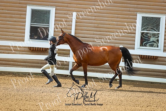 25 ASAM Summer Spectacular